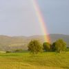 Après la pluie ...