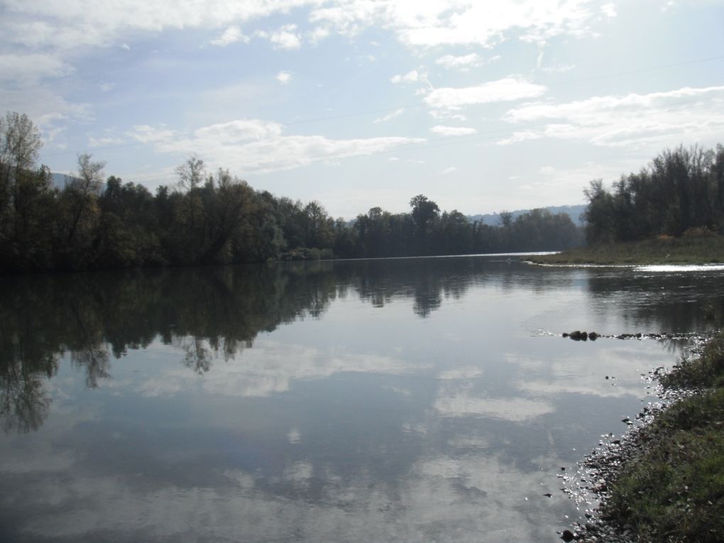 Des images du Rhône en automne/hiver, des ombres, des truites, et des paysages