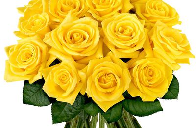 Bouquet de rose jaune