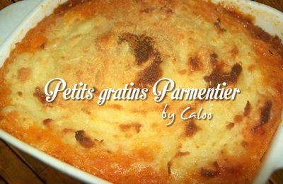 Parmentier de bœuf en sauce italienne