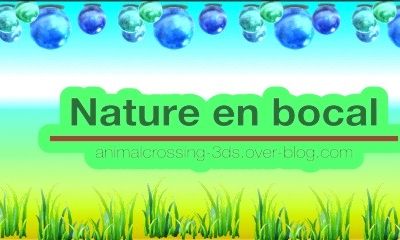 Nature en bocal (Pocket Camp Complete)