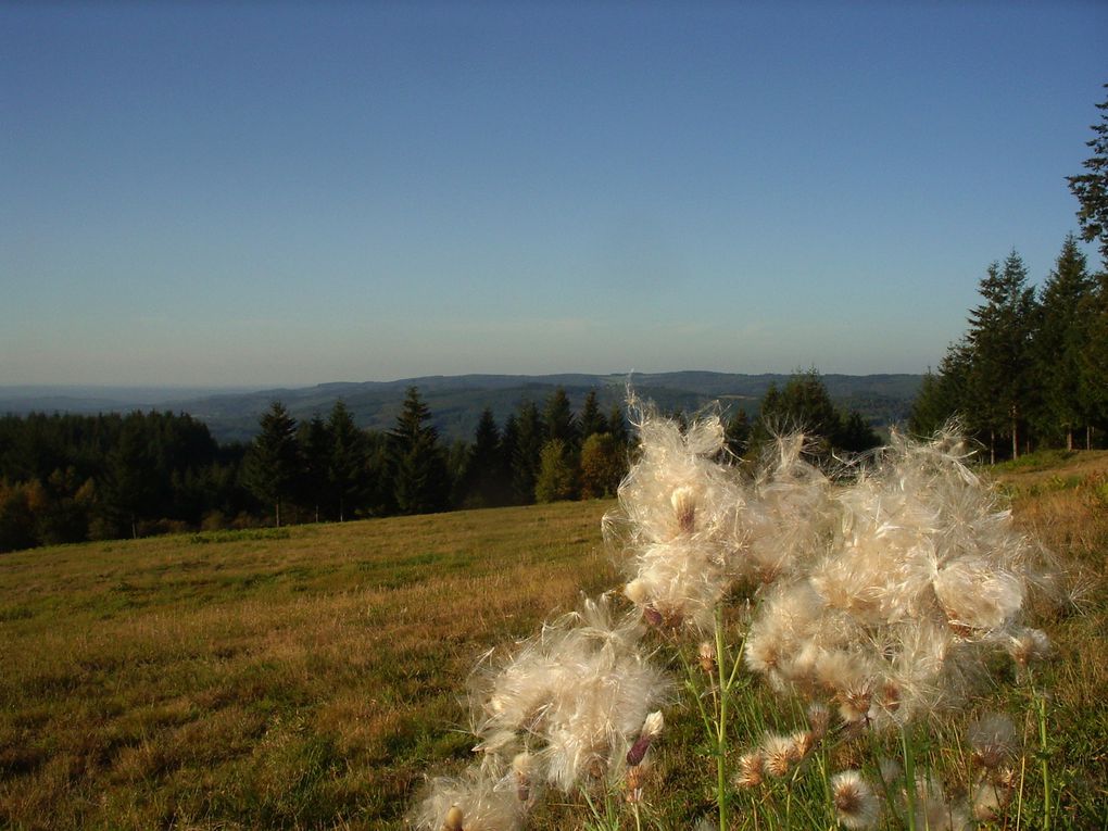 Rando d'automne Meymac, Mont Bessou, Plateau de 1000 Vaches, Lac du Chammet, Lac de Vassivière, source de La Vienne  175km