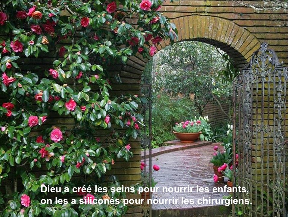 Divers - Recueils de réflexions