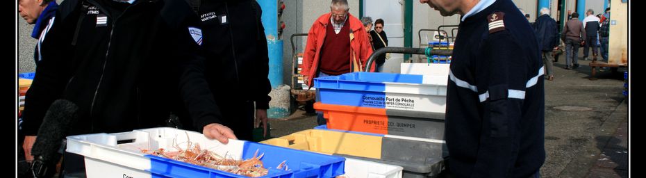 Le Guilvinec : débarquement de la pêche