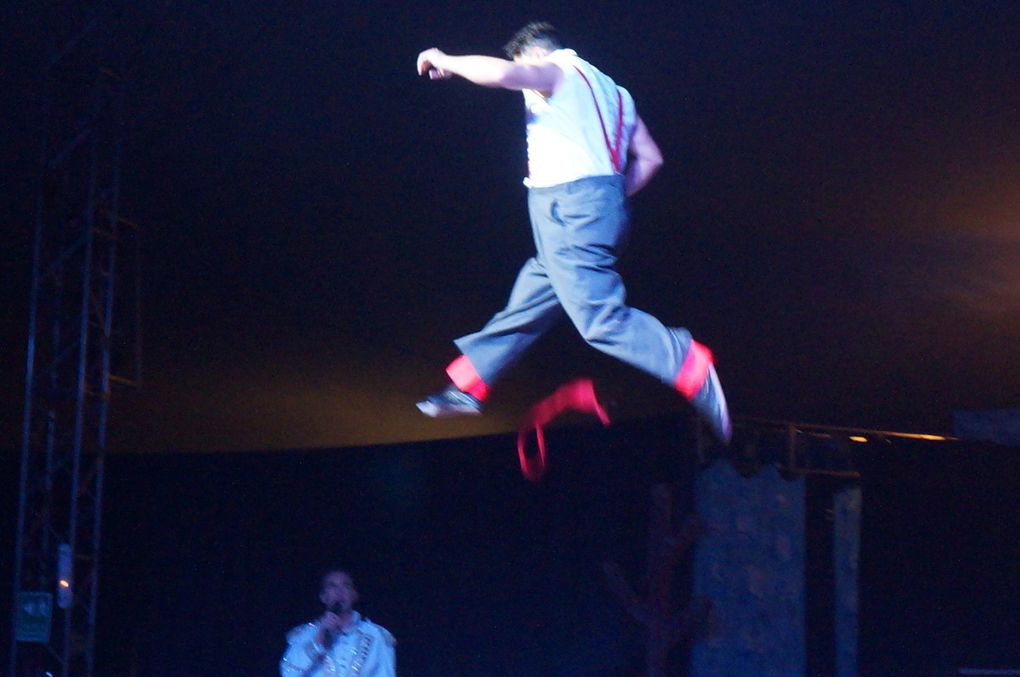 Circus on Ice a Palermo. Intrattenimento condito di schiettezza e semplicità 