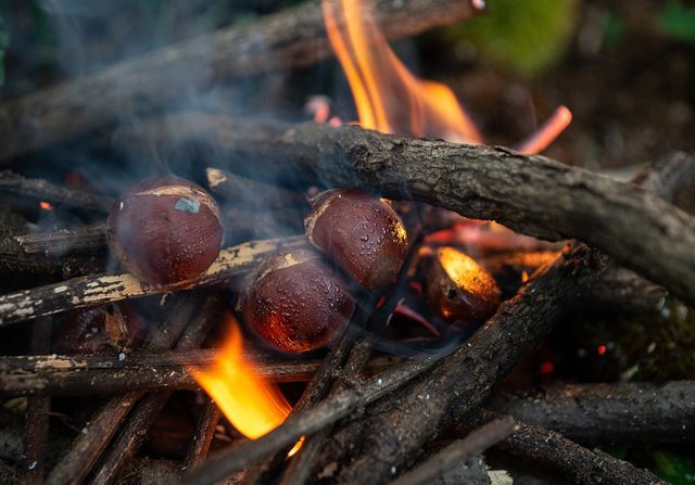 Les châtaignes cuites au feu de bois, une recette délicieuse des temps anciens et du moyen âge