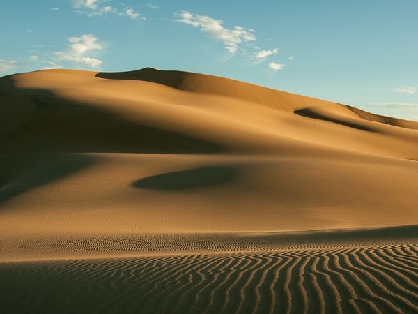 Encore des dunes (Les plus hautes du monde)