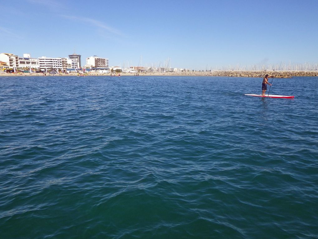 6ème édition de la Conviviale organisée par le PASC, Club emblématique de Surf Méditérranéen.
Soleil et ambiance étaient au RDV...