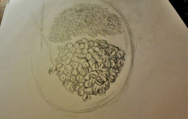 Multitudes 