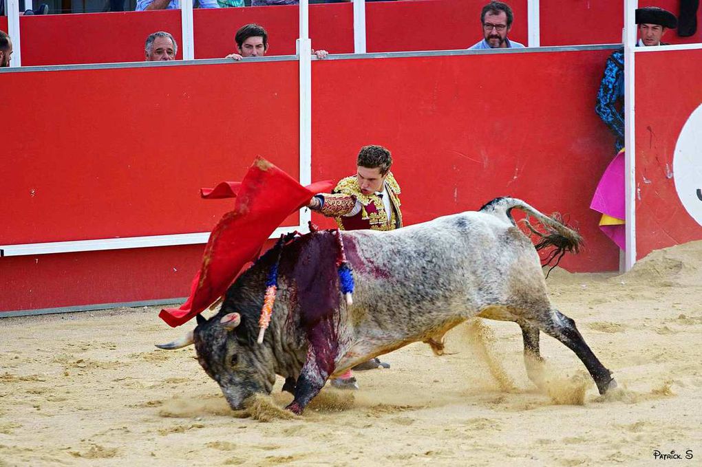 BOUJAN SUR LIBRON, Toros y Campo 1èr et 2 juillet