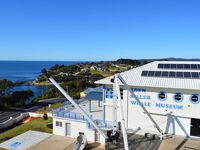 Eden, un petit coin de paradis. Une baie magnifique, bordée de falaises presque bretonnes... On s'est régalé à visiter le "Killer Wale Museum", et on le recommande vivement! En revanche, à éviter: le resto chinois. Avant de partir, ne pas oublier de faire une longue promenade sur la plage.