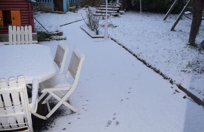 NEIGE DE DEBUT JANVIER EN BRETAGNE