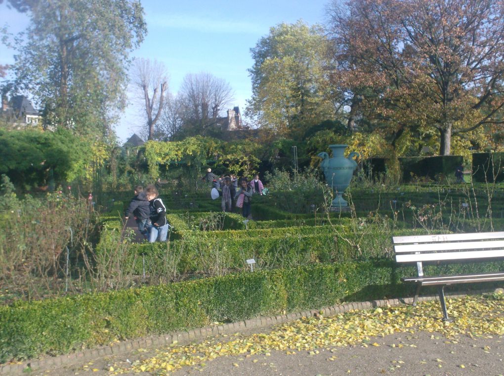 photos du Jardin des plantes de Rouen