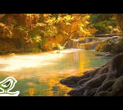 Short Tracks | Soothing Relaxation Soothing Relaxation Short Tracks