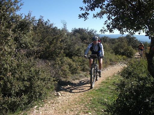 VTT 2010