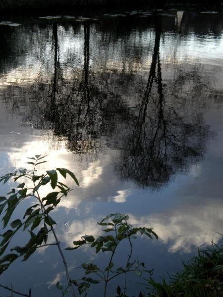 Parce que la nature est belle et que je l ' aime à chaque instant !