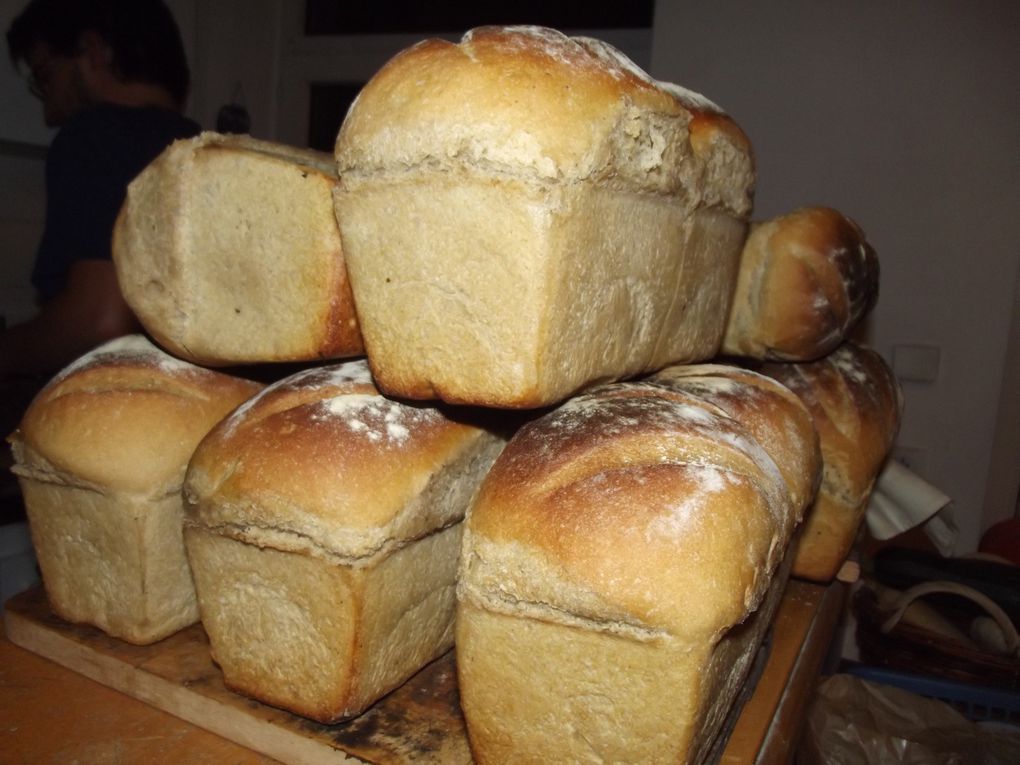 Alors que nous logions à Lille notre hôte nous a fait une petite démo de fabrication de pain au levain naturel ! Merci :)