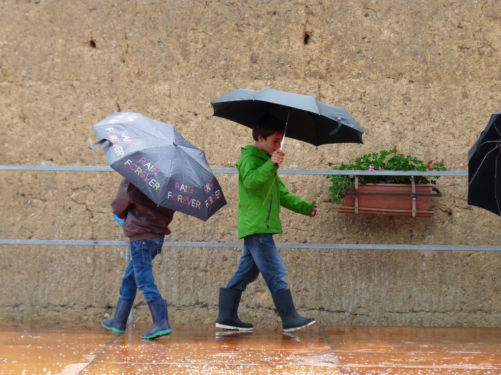 Photos de la fête de l'école 2013 de Chasné sur Illet