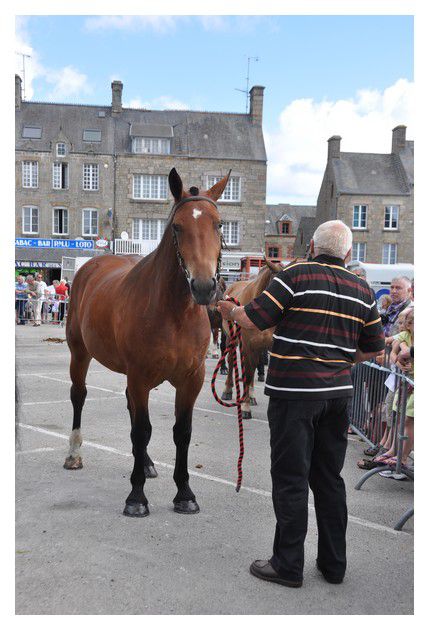 Des images de la Grand'Saint Pierre 2013, fête des Normands