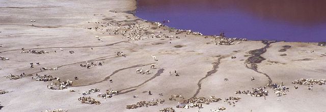 Les massifs volcaniques d'Afrique du nord - 5. les champs volcaniques du Soudan.