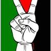 Communiqué du NPA. Masacre à Gaza : renforcer la solidarité avec la résistance palestinienne.