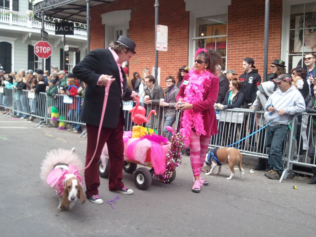 Première parade de notre premier carnaval.