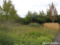 Visite des jardins du Colysée