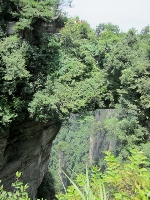 Album - Zhangjiajie