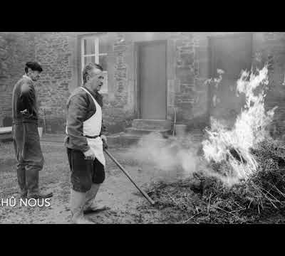 Quand on tuait le cochon