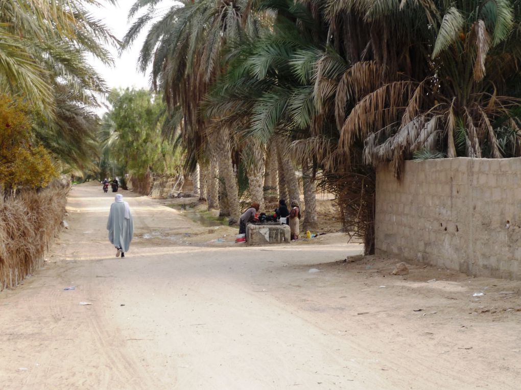 Tour de Tunisie