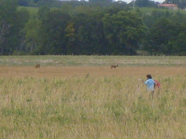 La suite des aventures de l'instinct chasseur en images