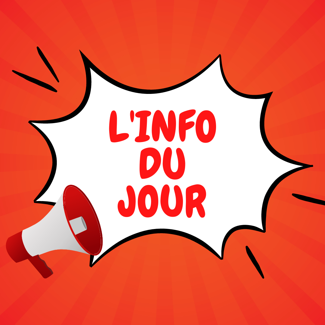 Musée, éclairage public, écoles, gymnases, ce que ça coûte