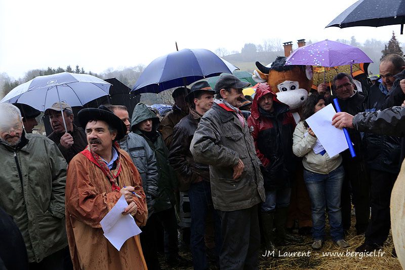 Journée du 17 mars 2013