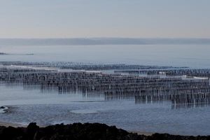 vers le port du Dahouët