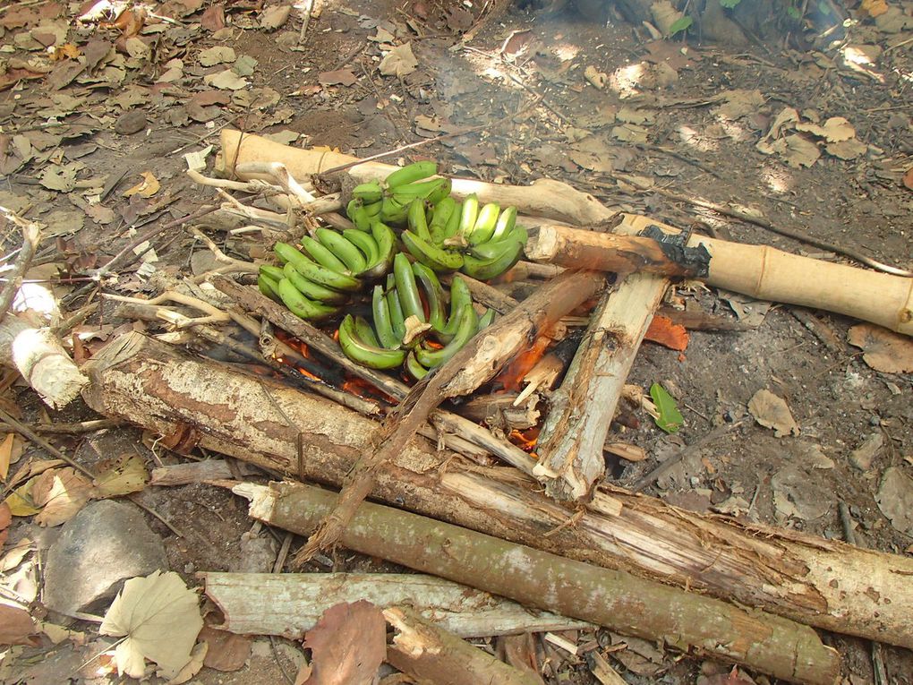 Au menu de notre repas de fin d'année entre collègues : friture de bananes, fruit à pain et songe pour accompagner le ragoût de poulpe, les mabawas (ailes de poulet) et brochettes. Balade digestive sur la plage au milieu des crabes et des méduses bleues.