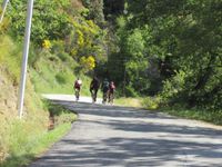 Traversée du vignoble des côtes du Rhône entre Mirabel et Mérindol les Oliviers sous l’œil bien veillant du Ventoux.