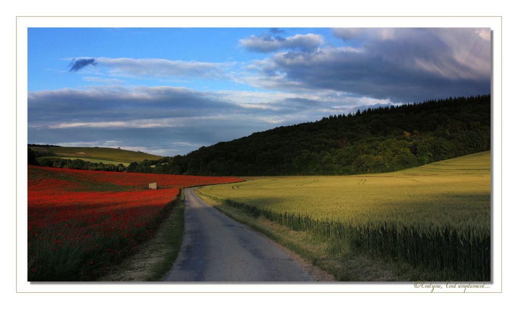 Album - Paysages