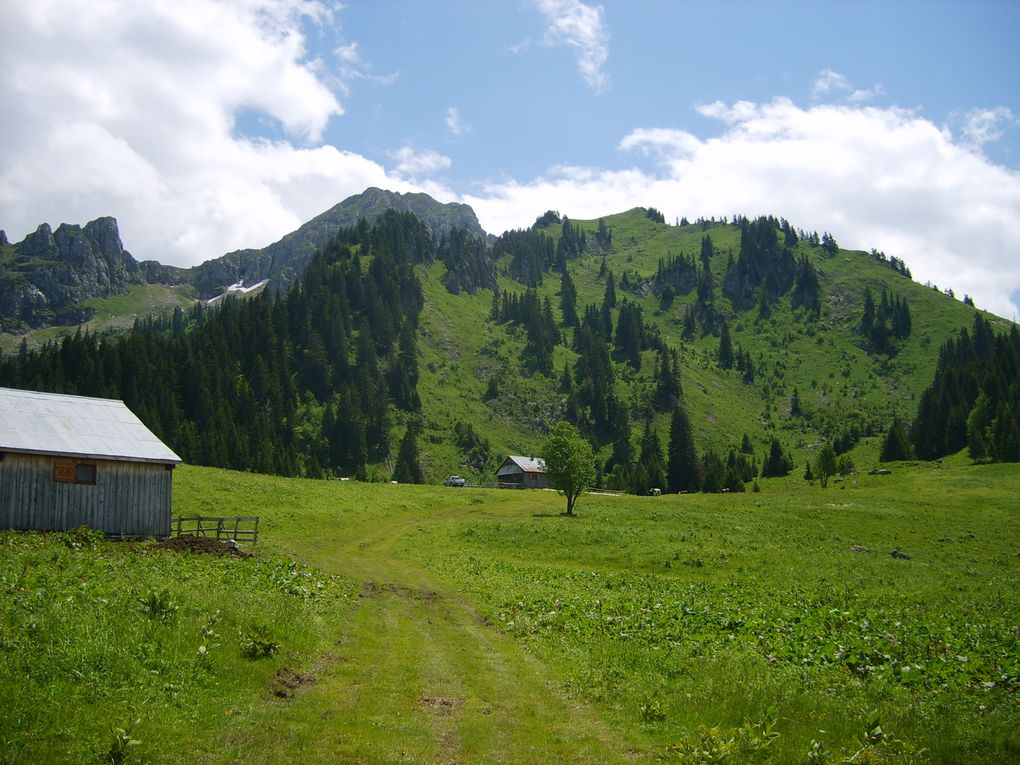 Album - RANDONNEE (HAUTE SAVOIE)