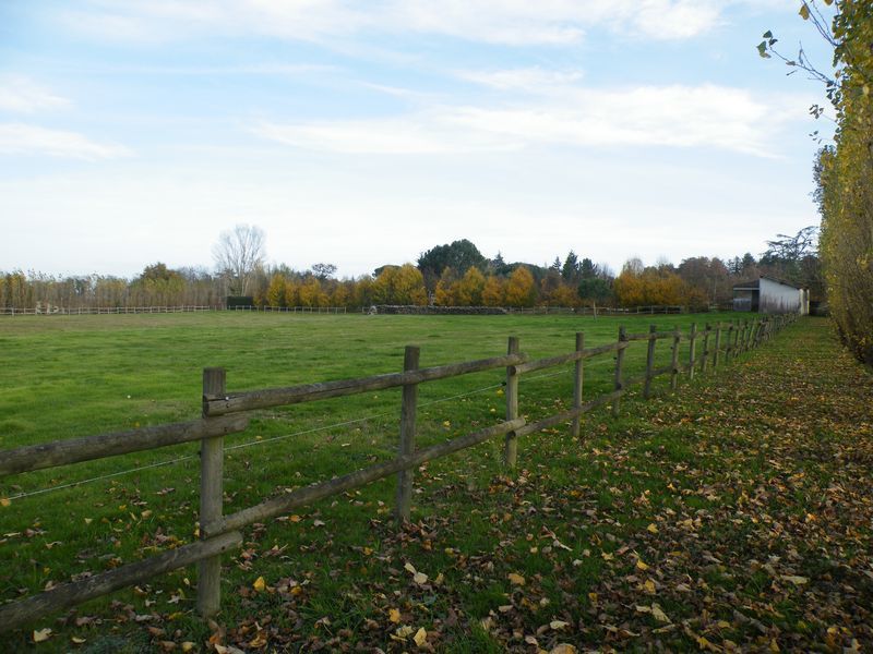 notre quartier pdt l'automne 2009