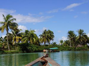 Ballade en pirogue sur la canal de Pangalanes 