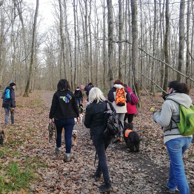 33ème Rando Canine à Chailles le 16.02.2020