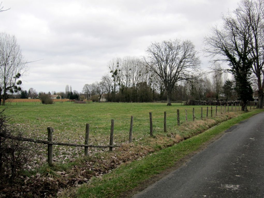 balades en vélo