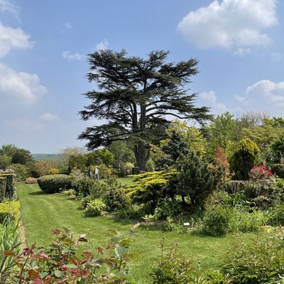 Orchaise (41) - Le prieuré et l'église