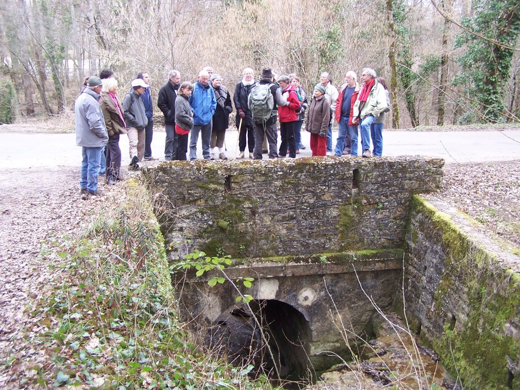 Quelques adhérents nous proposent des balades:avec Jean-Michel Gaudron, naturaliste, des balades découverte, avec Laurent Huchot des marches plus sportives, Christine Ducoux, Quince Graveson, Marie-Ange Dreyer, balade et patrimoine... presque tous