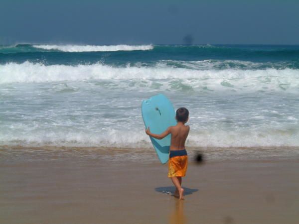 Album - landes-juillet07