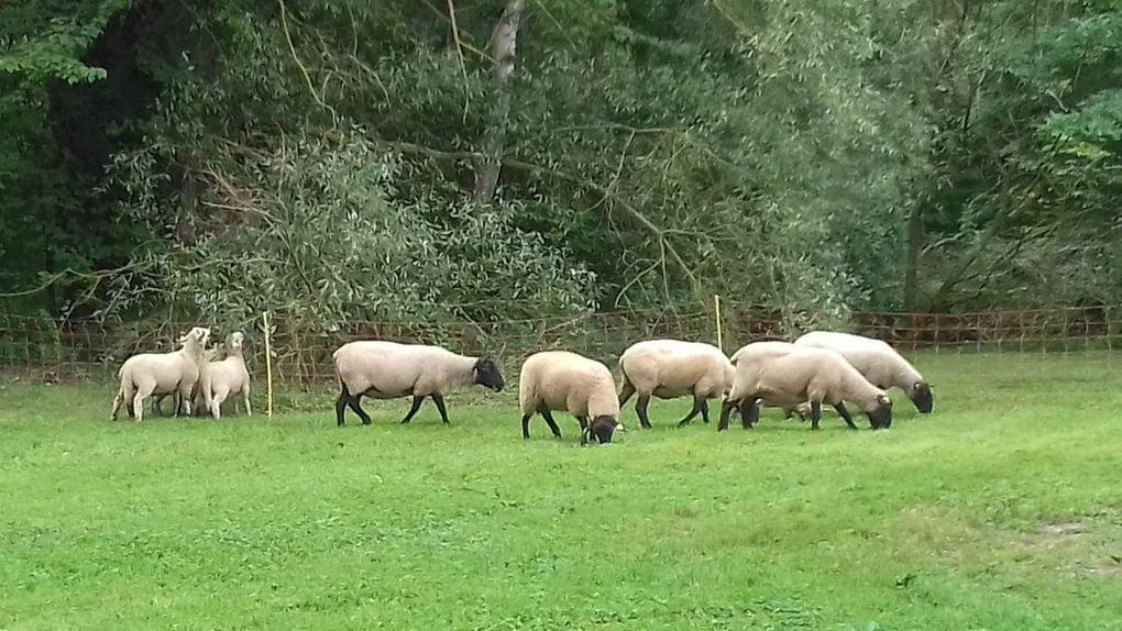 Rendez-vous mensuel et Fête de la Saint Fiacre...