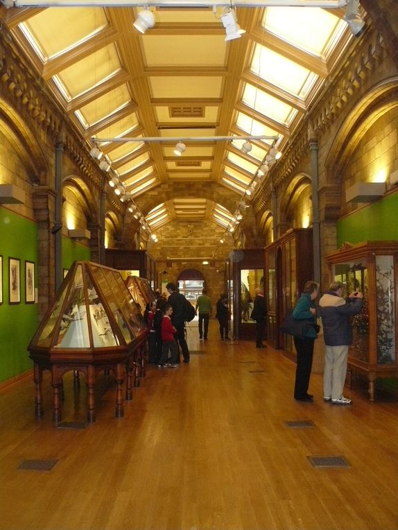 Album - Natural History Museum 2012