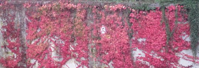 Suite de la balade d'automne