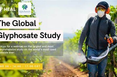 Glyphosate, cancers et étude pilotée par l'Institut Ramazzini : de la réalité à la désinformation... et retour (première partie)