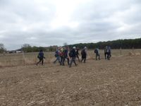 BOIS LE ROI (Jeudi.soutenu)